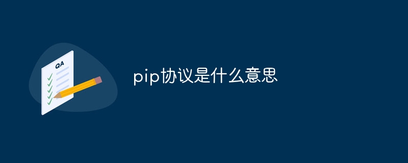 pip 프로토콜은 무엇을 의미합니까?