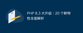PHP 8.3 大升级：20 个新特性全面解析
