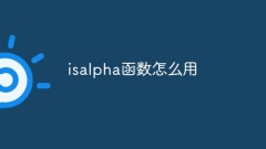 So verwenden Sie die Isalpha-Funktion