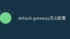 default gateway怎么配置