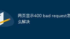 웹 페이지가 표시될 때 400 잘못된 요청 문제를 해결하는 방법