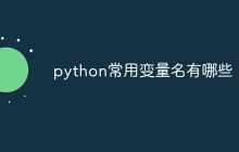 python常用变量名有哪些
