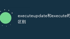 Perbezaan antara executeupdate dan execute