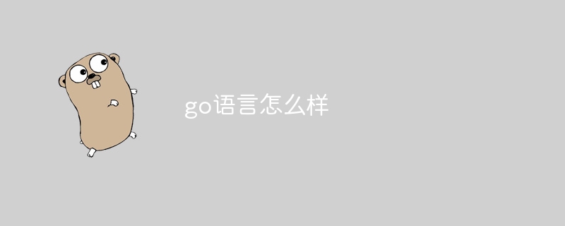 go语言怎么样