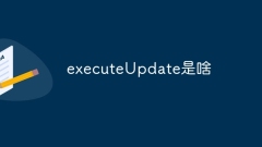 Qu'est-ce qu'executeUpdate