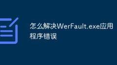 How to resolve WerFault.exe application error