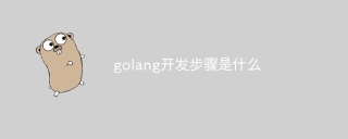 golang开发步骤是什么