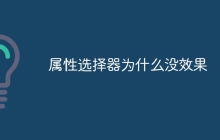 属性选择器为什么没效果
