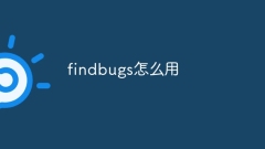 Findbug를 사용하는 방법