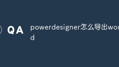 How to export word from powerdesigner