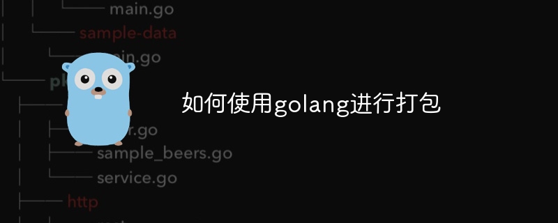 如何使用golang进行打包