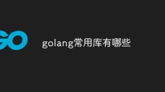golang에서 일반적으로 사용되는 라이브러리는 무엇입니까?