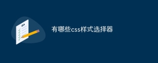 有哪些css样式选择器