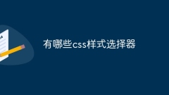 What css style selectors are there?