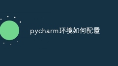How to configure the pycharm environment
