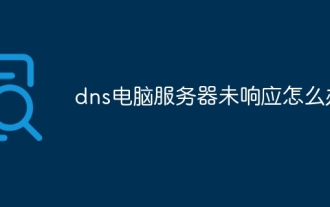 DNS 컴퓨터 서버가 응답하지 않는 경우 수행할 작업