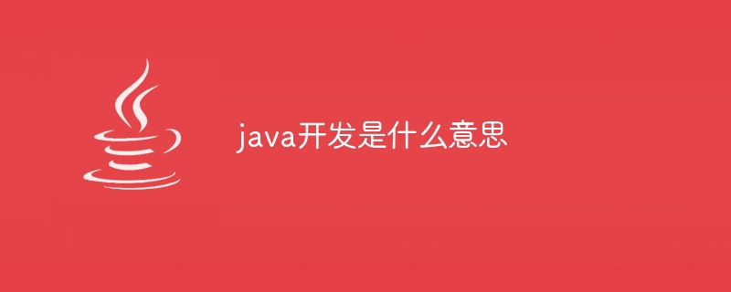 java开发是什么意思