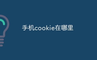 手机cookie在哪里