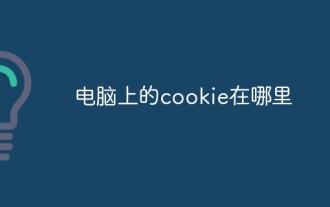 电脑上的cookie在哪里