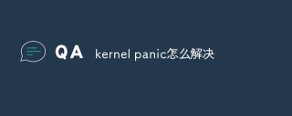 kernel panic怎么解决