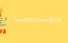 java中的Cookie是什么