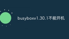 Busyboxv1.30.1 ne peut pas démarrer