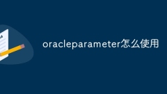 Comment utiliser le paramètre Oracle