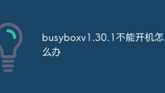Que dois-je faire si Busyboxv1.30.1 ne peut pas être démarré ?