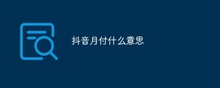 抖音月付什么意思