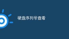 View hard disk serial number