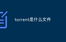 torrent是什么文件