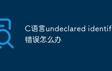 C语言undeclared identifier错误怎么办