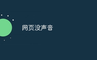 La page Web n'a pas de son