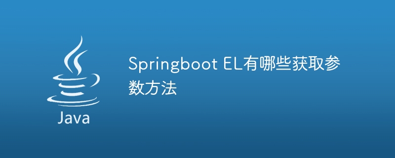 Welche Methoden gibt es, um Parameter in Springboot EL zu erhalten?