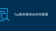 So überprüfen Sie die FTP-Serveradresse