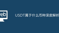 In-depth analysis of what currency USDT belongs to