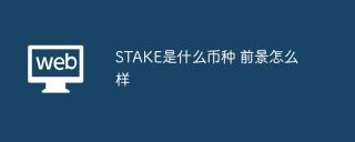 STAKE是什么币种 前景怎么样