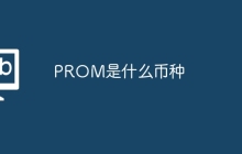 PROM是什么币种