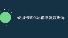 하드 드라이브 포맷 후 데이터를 복구할 수 있나요?