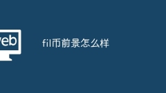 What is the prospect of fil currency?