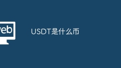 What currency is USDT?