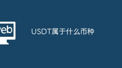 What currency does USDT belong to?