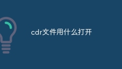 CDR 파일을 여는 방법
