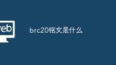 What is the inscription brc20