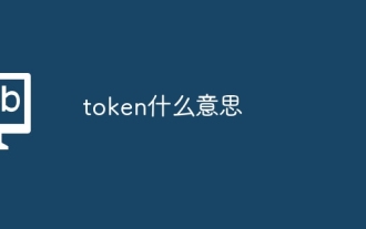 token是什么意思