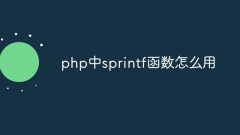 PHP에서 sprintf 함수를 사용하는 방법