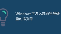 Windows下怎么获取物理硬盘的序列号