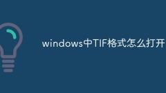Windows에서 TIF 형식을 여는 방법