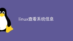 maklumat sistem paparan linux