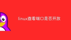 Vérifiez si le port est ouvert sous Linux